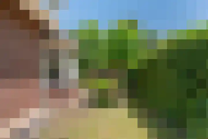 Oudaen 2 Lelystad thumbnail 41