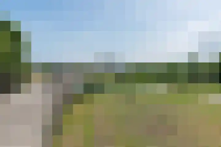 Oudaen 2 Lelystad thumbnail 47