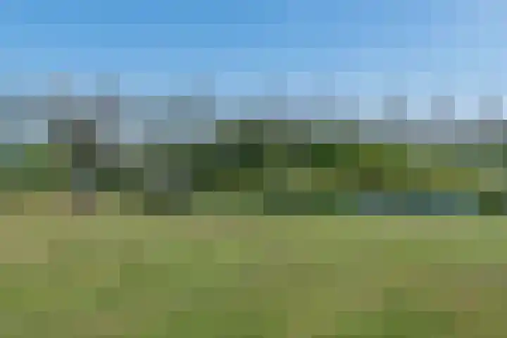 Oudaen 2 Lelystad thumbnail 48