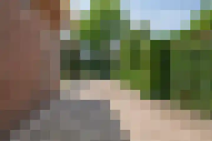 Oudaen 2 Lelystad thumbnail 6