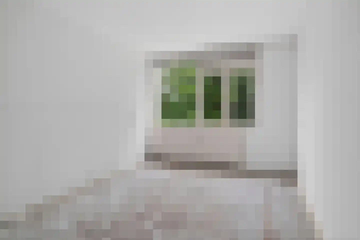 Oudaen 22 Eindhoven thumbnail 13