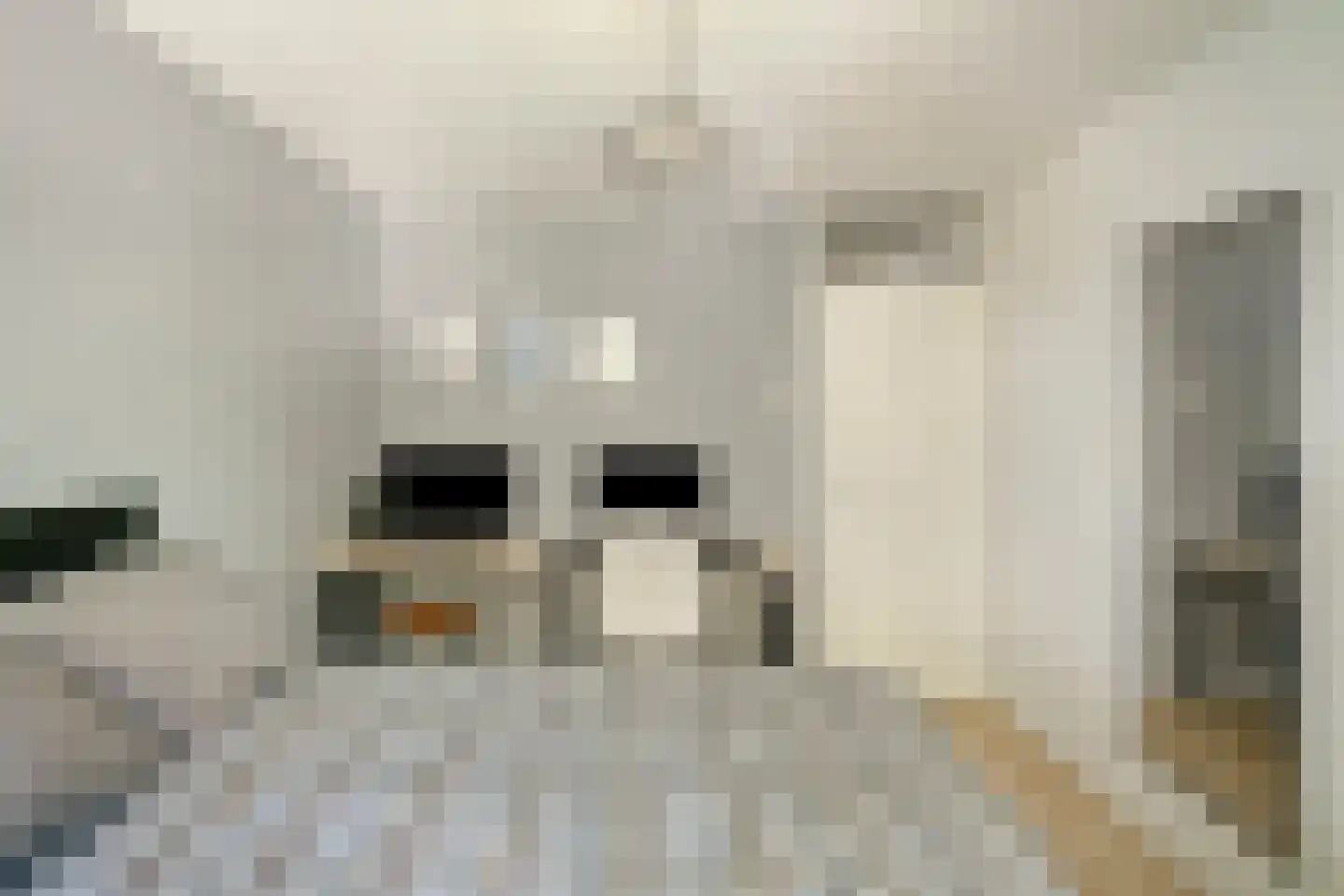 Oudaen 24 Eindhoven thumbnail 15