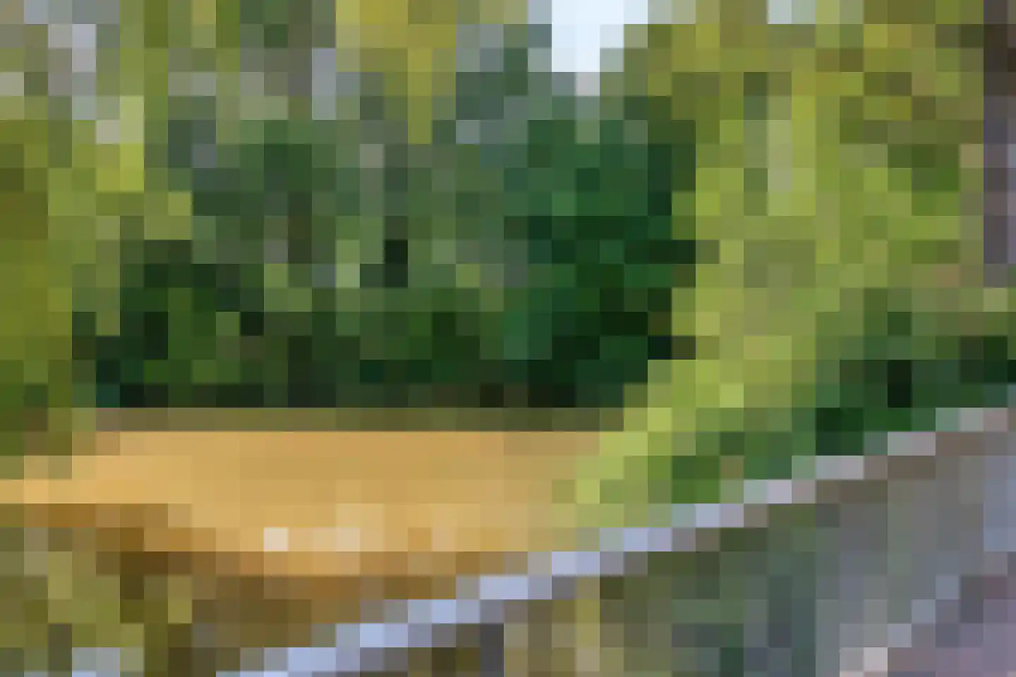 Oudaen 24 Eindhoven thumbnail 32