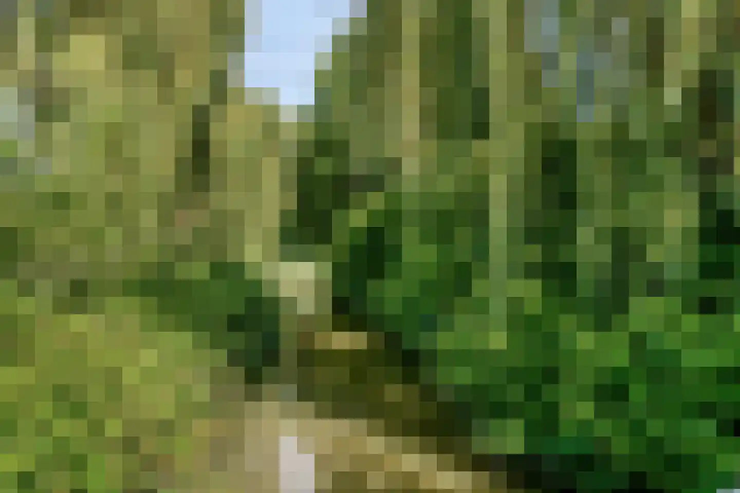 Oudaen 24 Eindhoven thumbnail 33