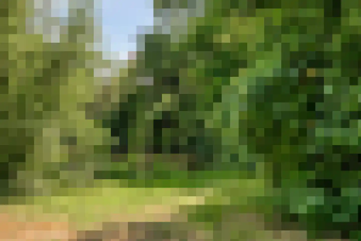Oudaen 24 Eindhoven thumbnail 34