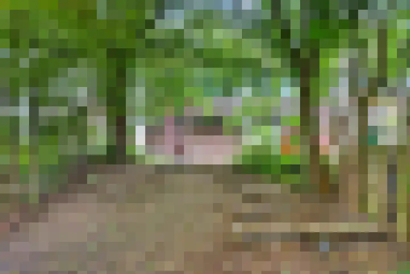Oudaen 30 Eindhoven thumbnail 17