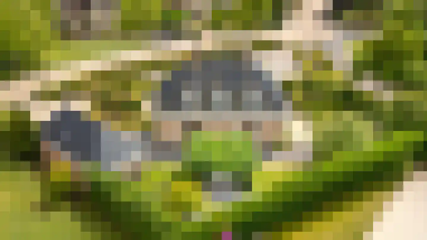Oudaen 43 Lelystad thumbnail 6
