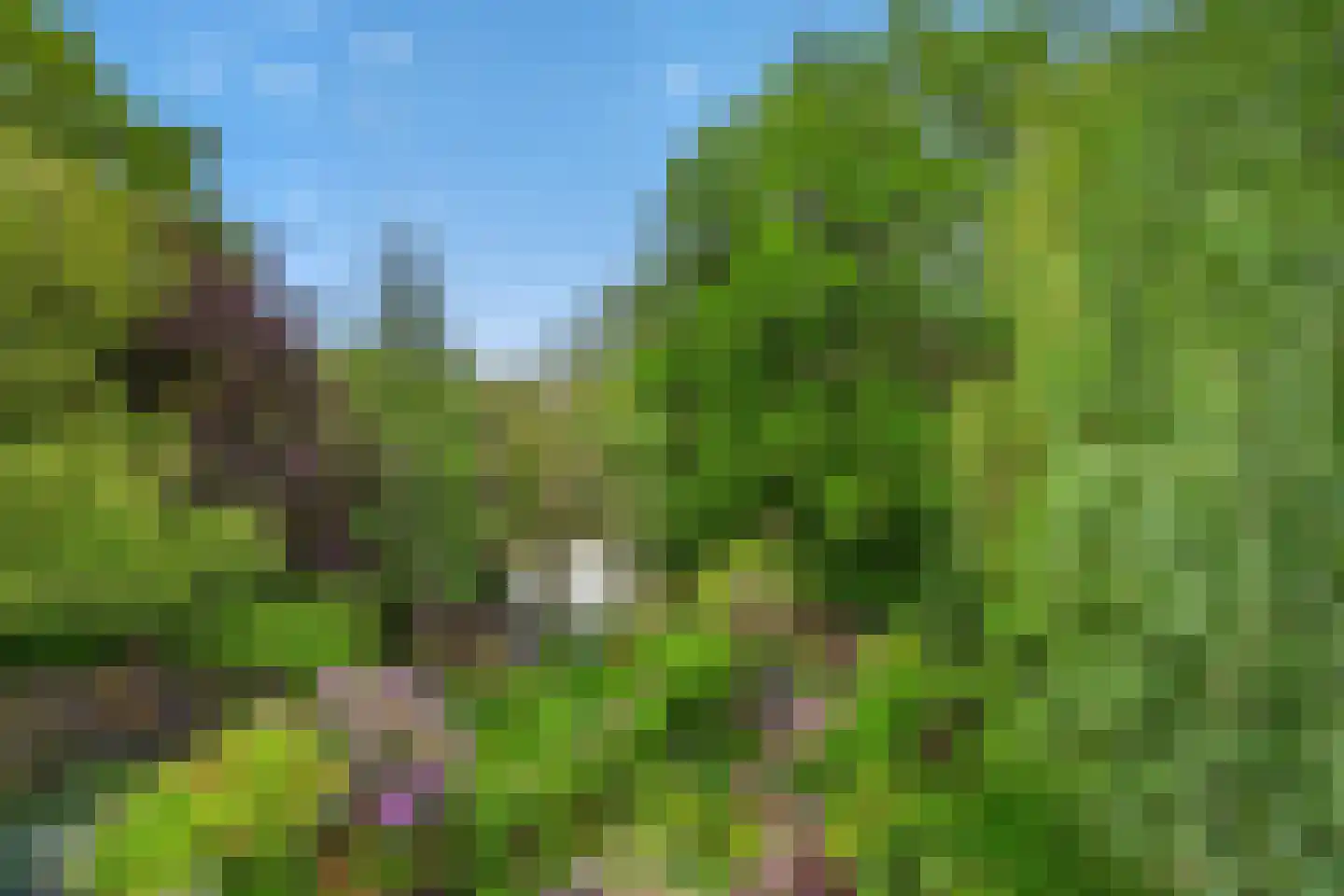 Oudaen 54 Eindhoven thumbnail 15