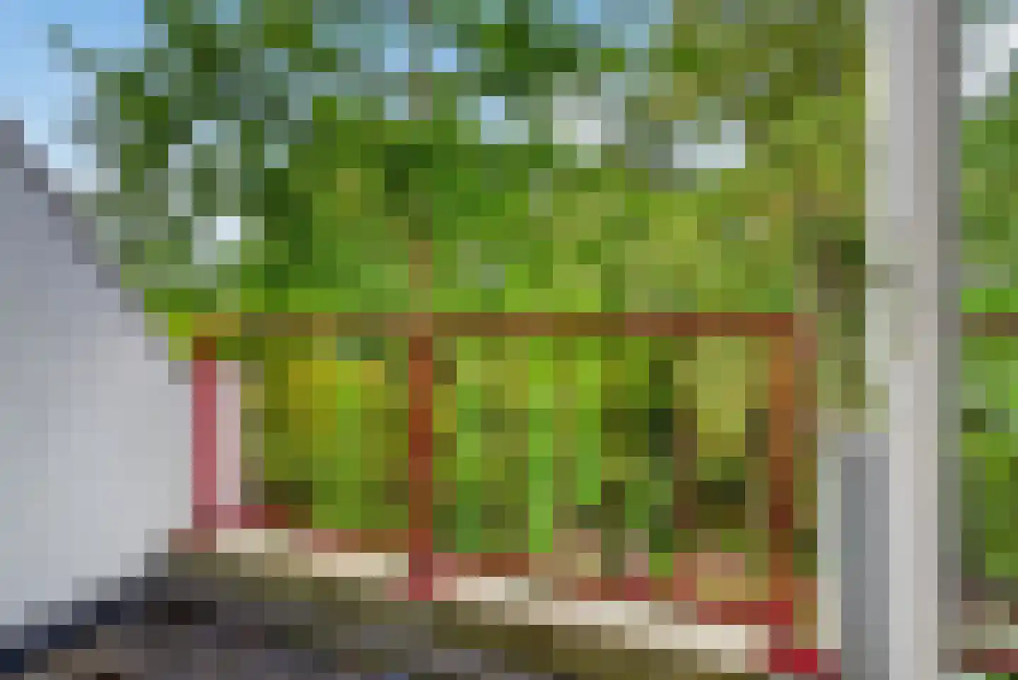 Oudaen 62 Eindhoven thumbnail 9