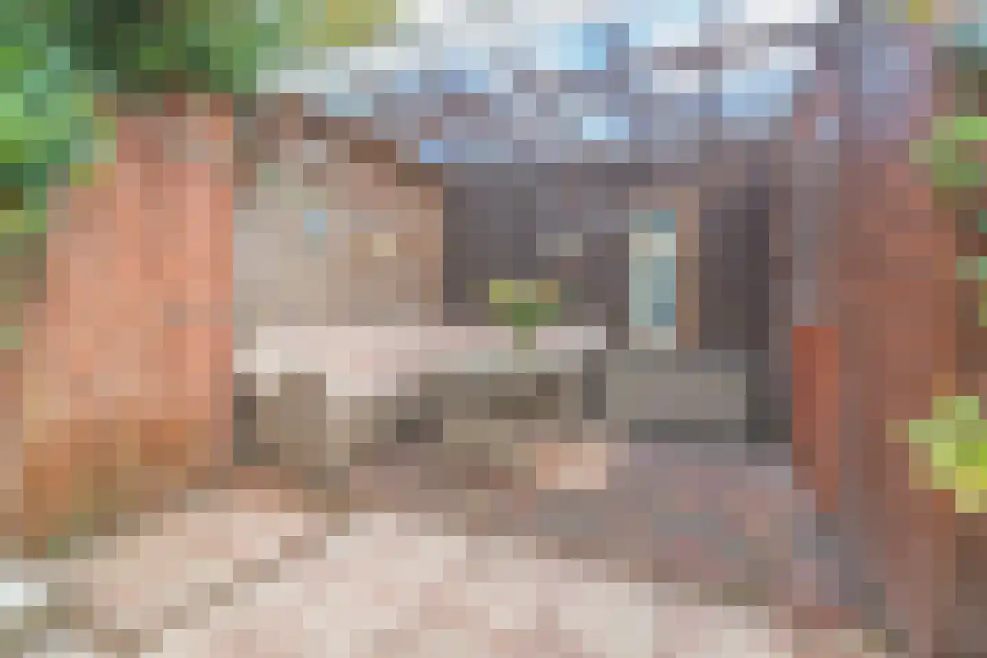 Oudaenstraat 12 Den Haag thumbnail 15
