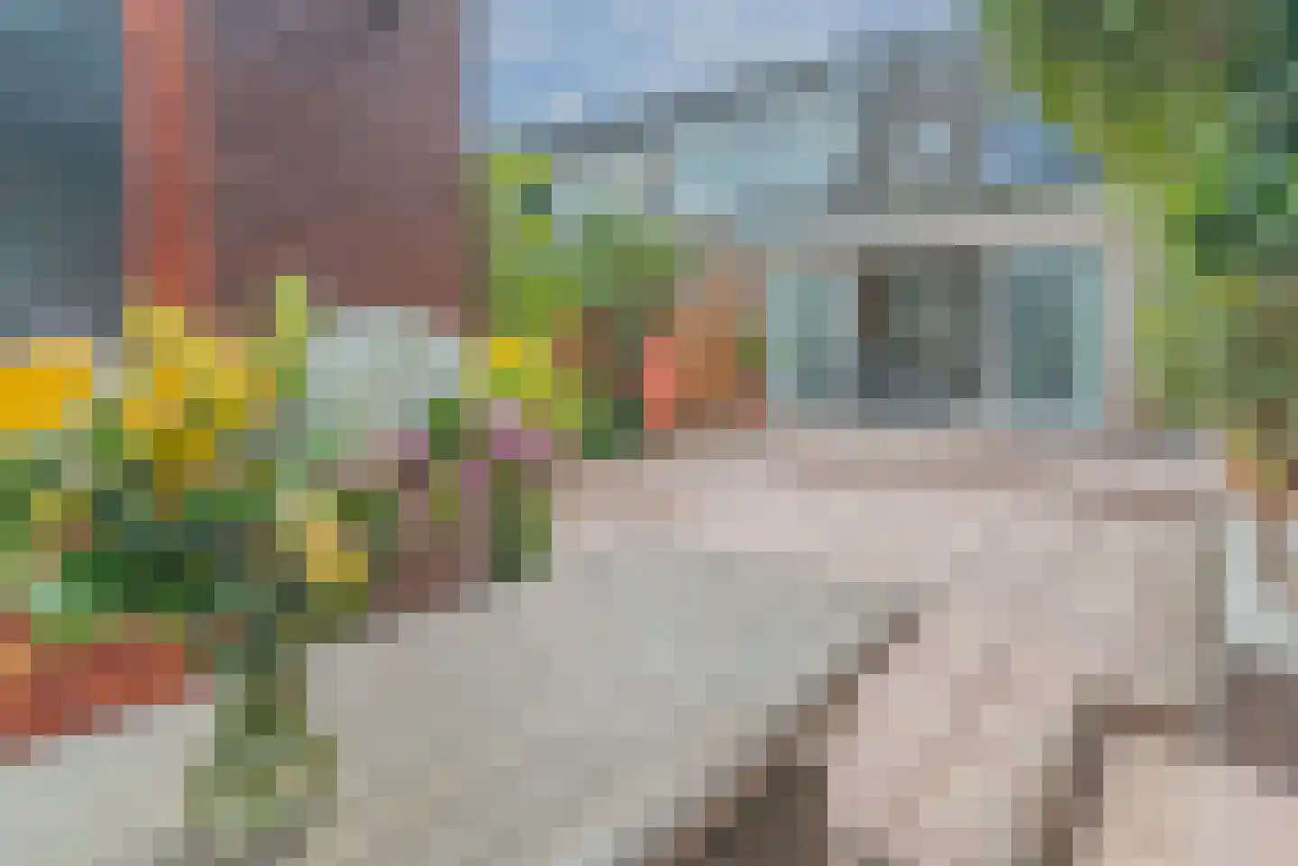 Oudaenstraat 12 Den Haag thumbnail 18