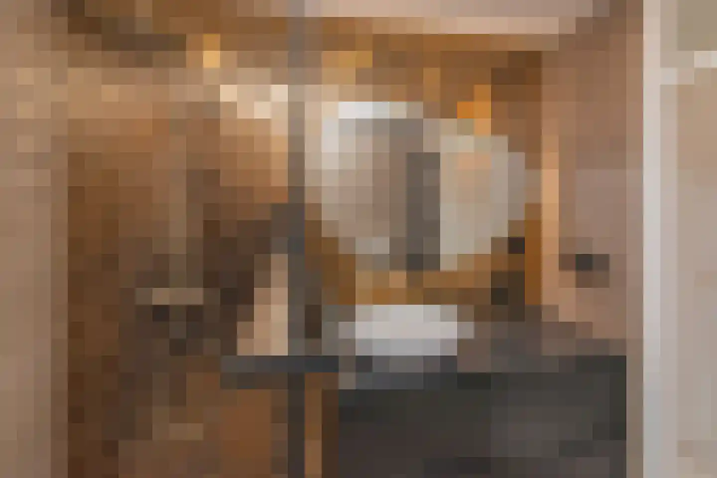 Oudaenstraat 12 Den Haag thumbnail 22