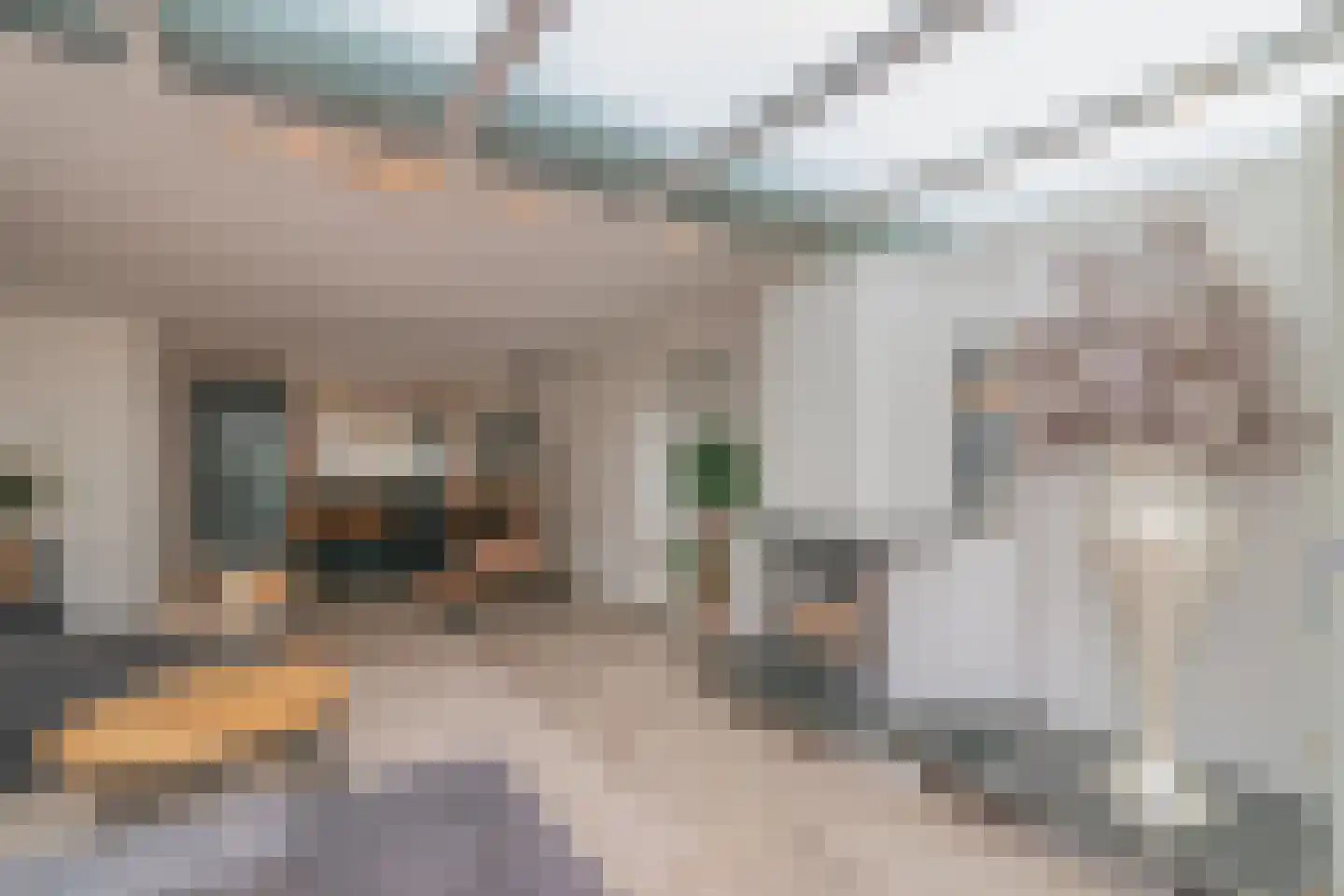 Oudaenstraat 12 Den Haag thumbnail 7