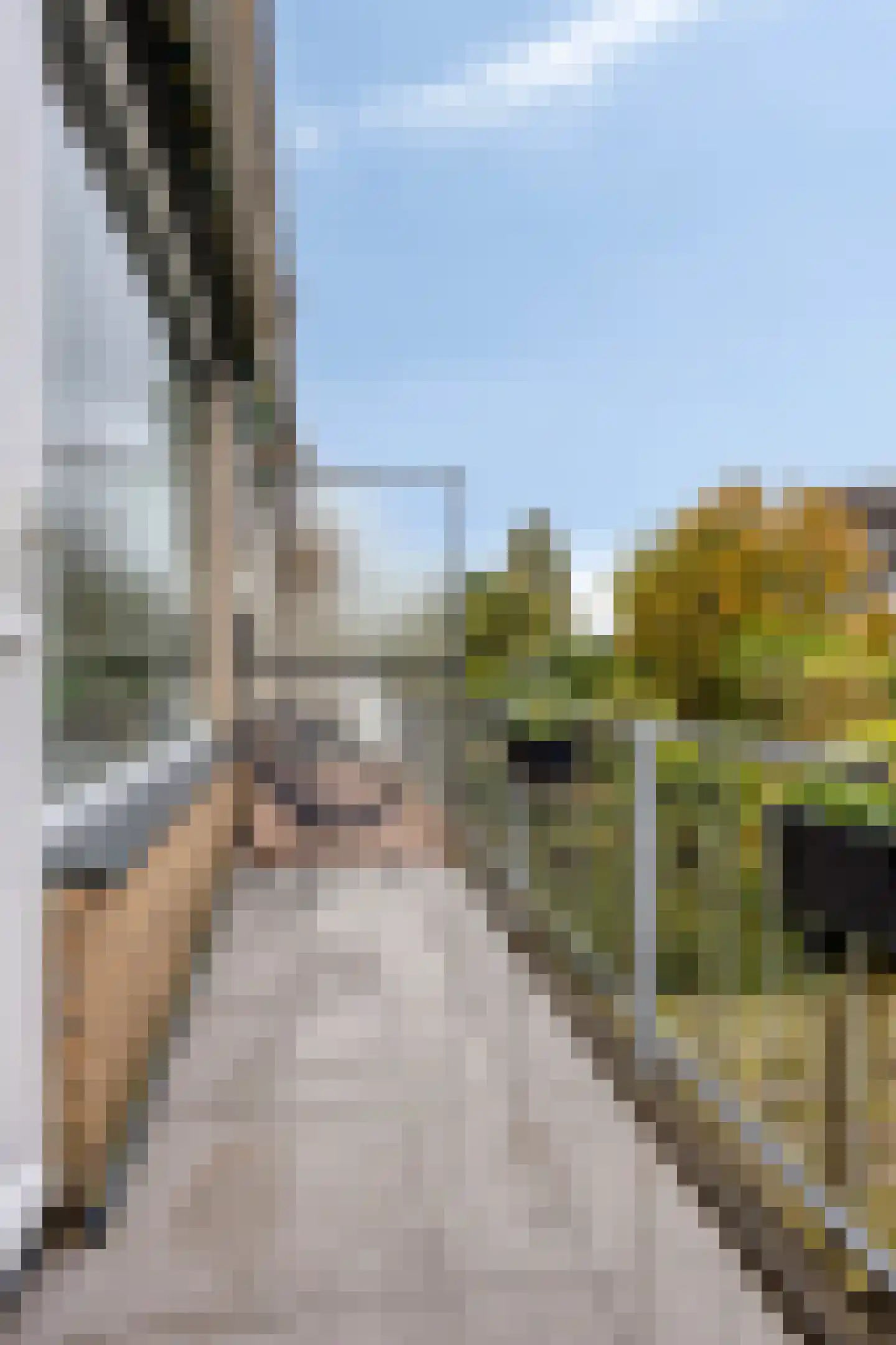 Oudaenstraat 16 Ridderkerk thumbnail 16