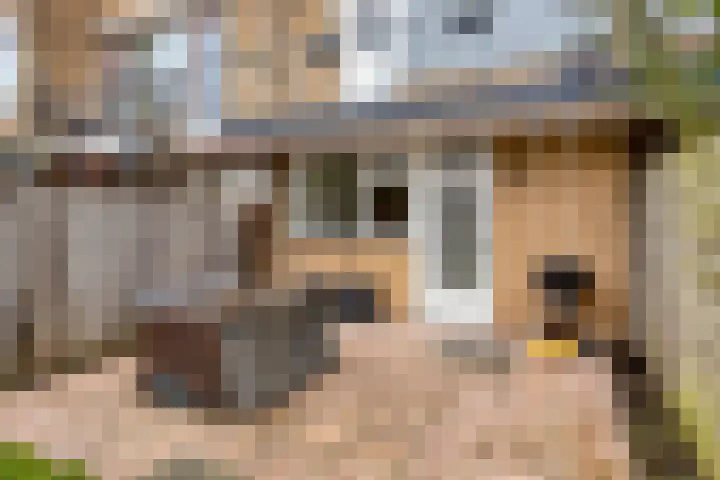 Oudaenstraat 16 Ridderkerk thumbnail 32