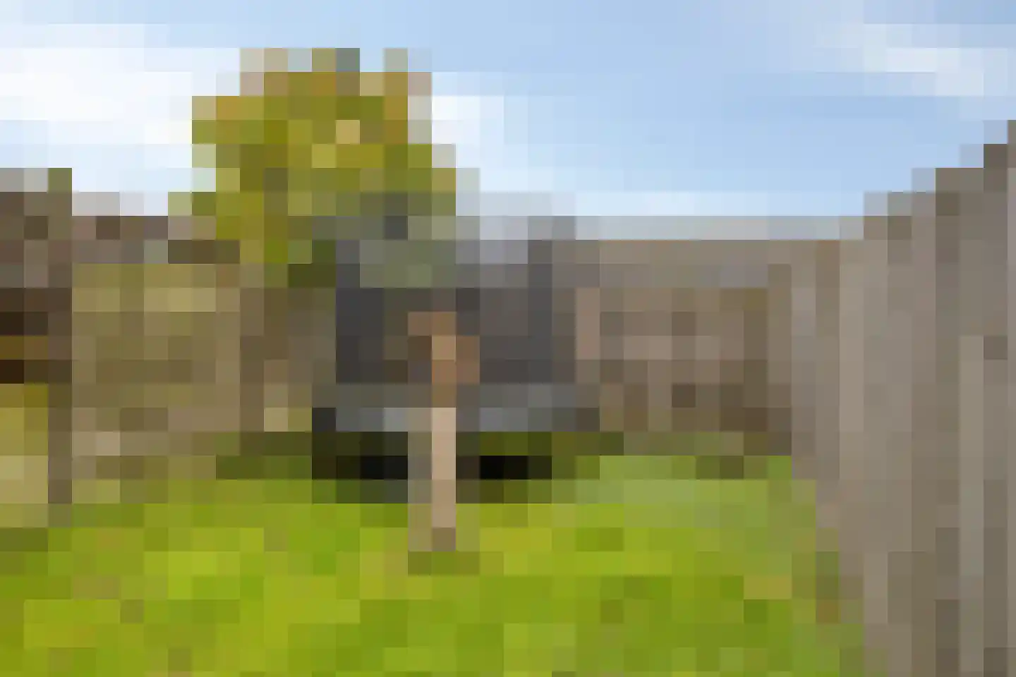 Oudaenstraat 16 Ridderkerk thumbnail 33
