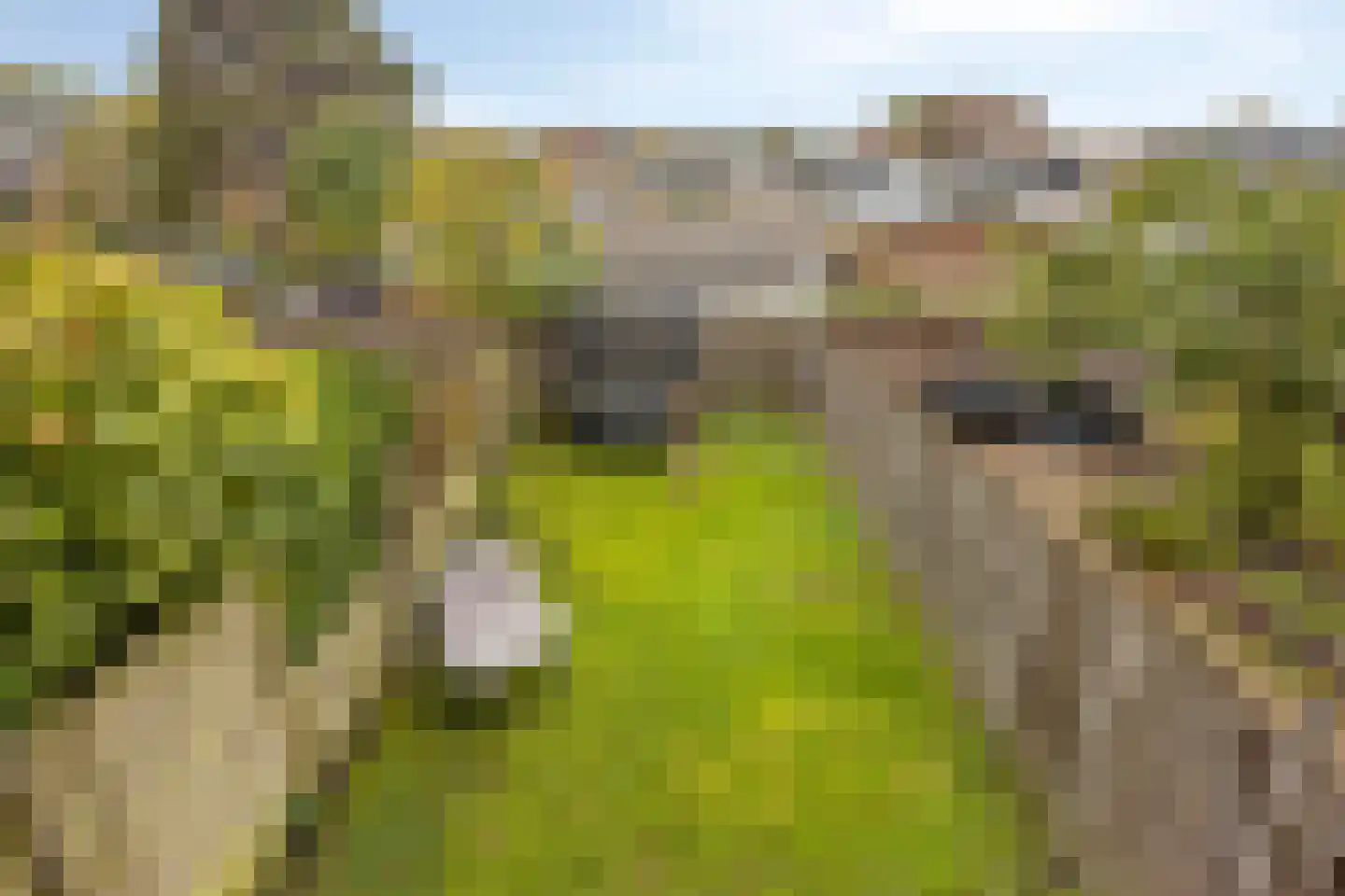 Oudaenstraat 16 Ridderkerk thumbnail 34