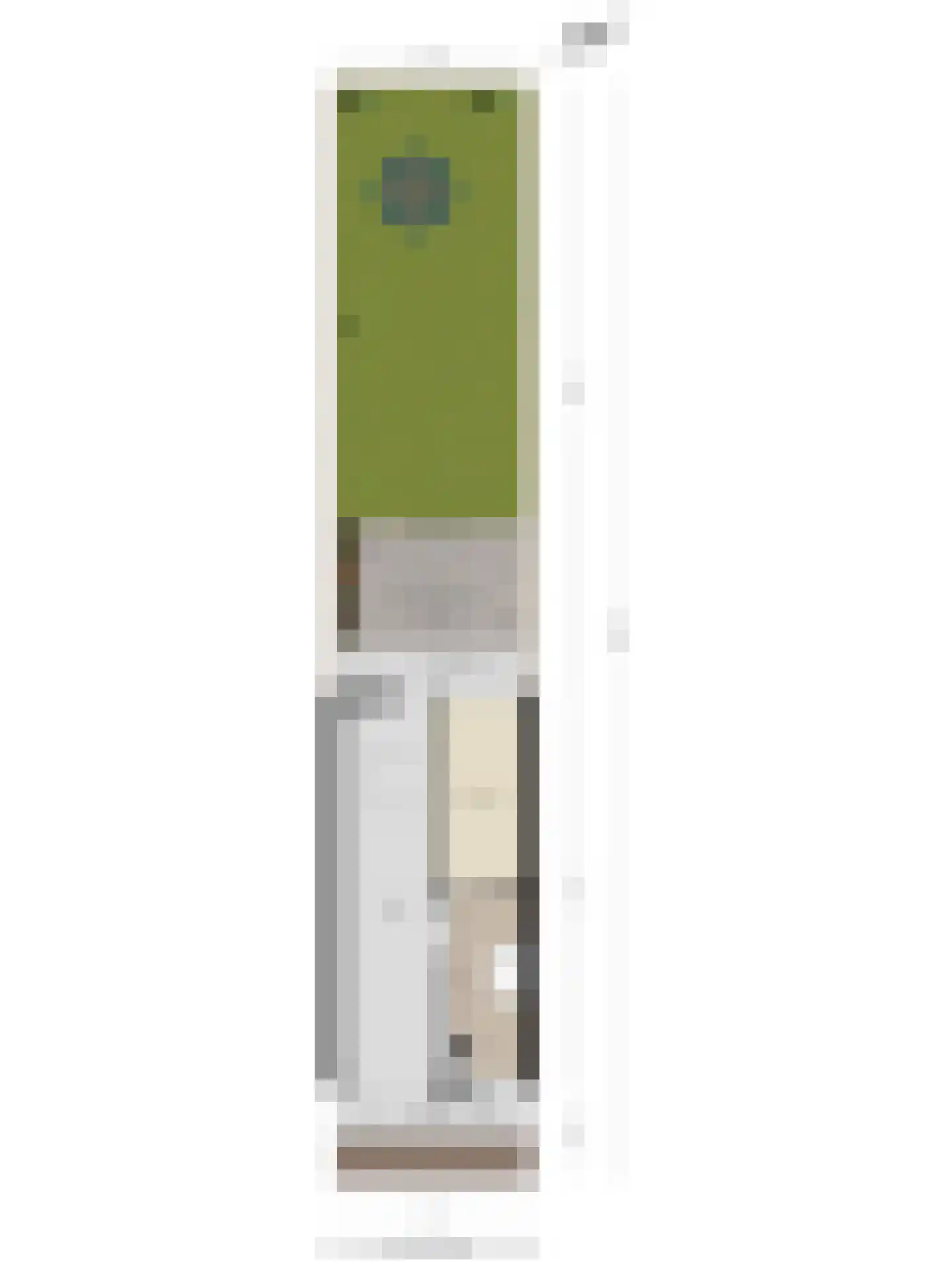 Oudaenstraat 16 Ridderkerk thumbnail 40