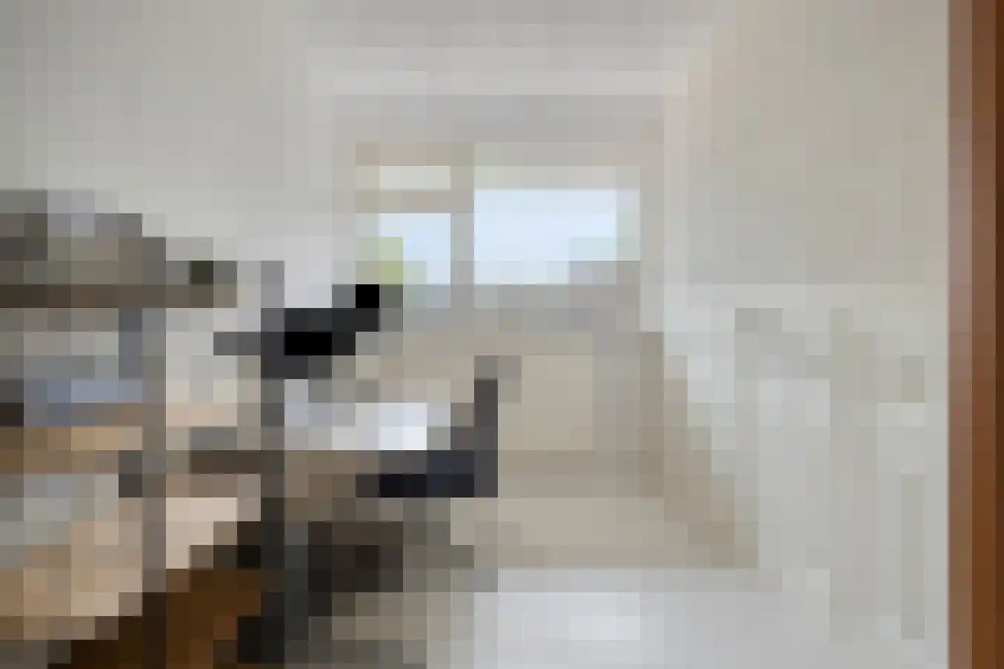 Oudaenstraat 16 Ridderkerk thumbnail 9