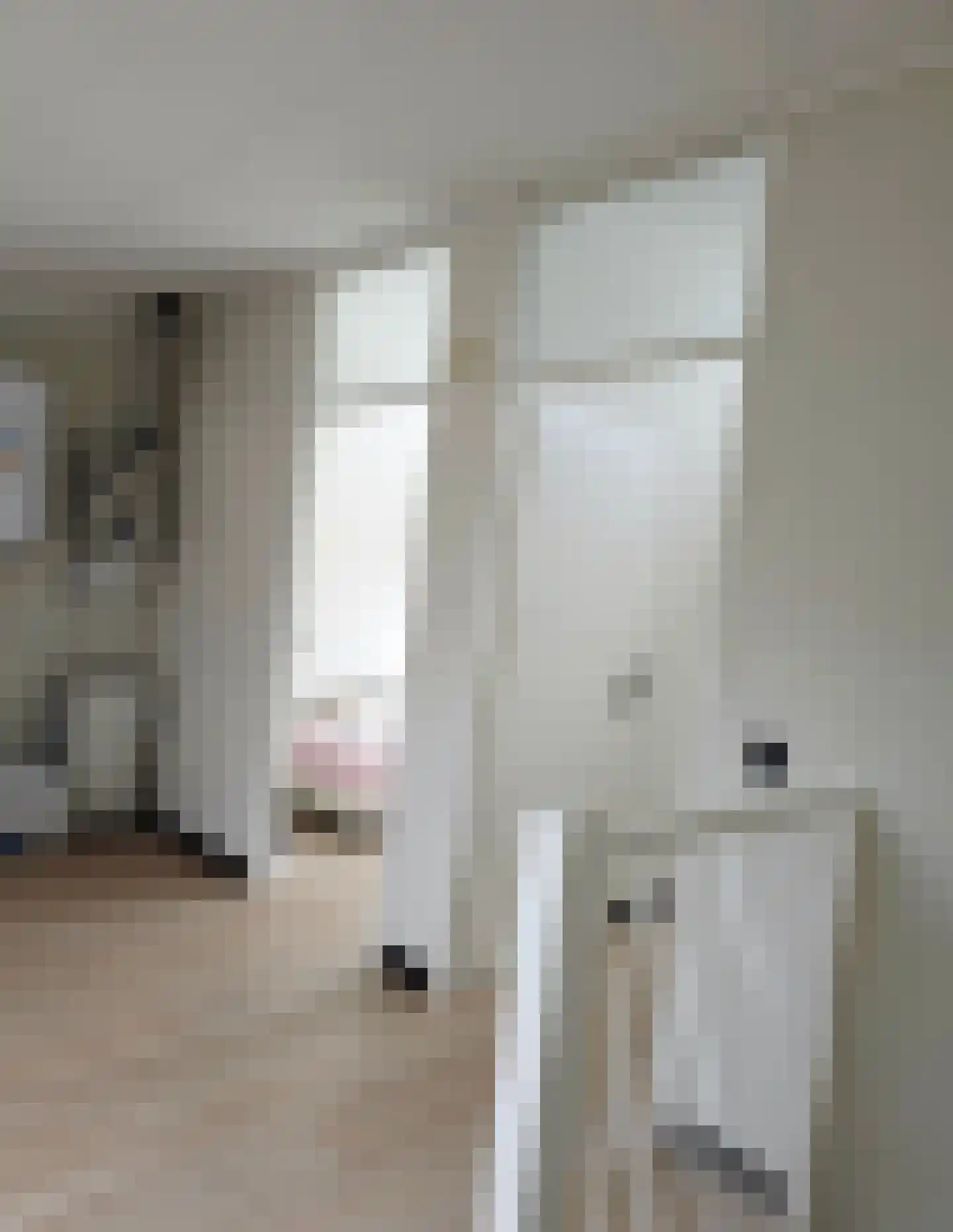 Oudaenstraat 26 Den Haag thumbnail 13