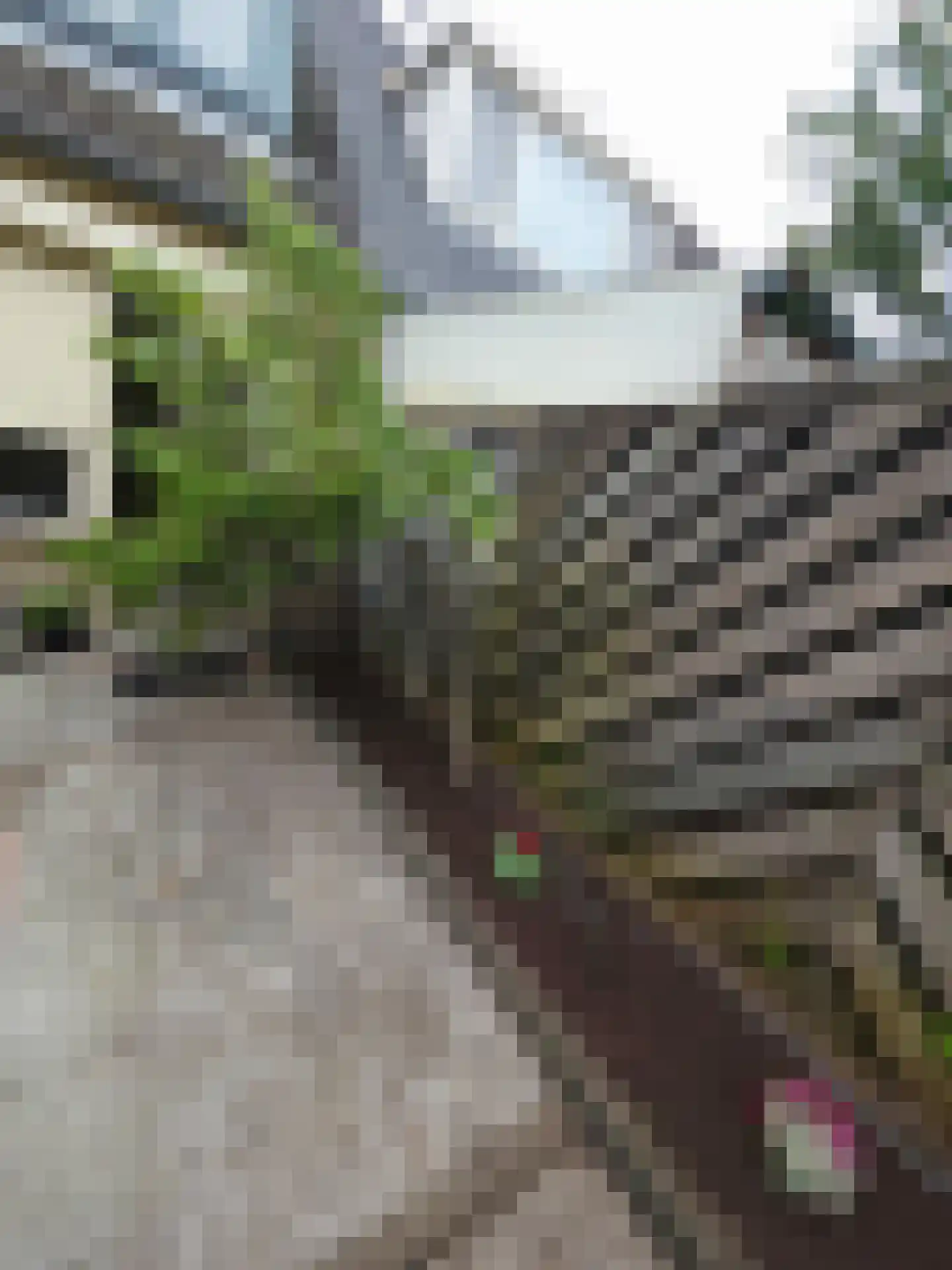 Oudaenstraat 26 Den Haag thumbnail 19