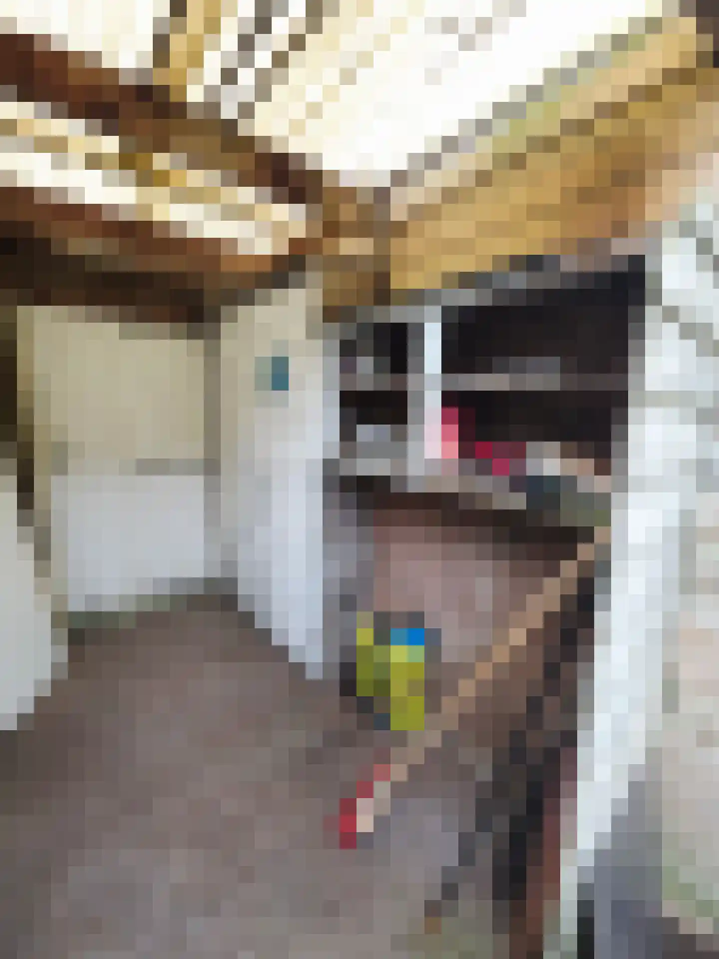 Oudaenstraat 26 Den Haag thumbnail 22