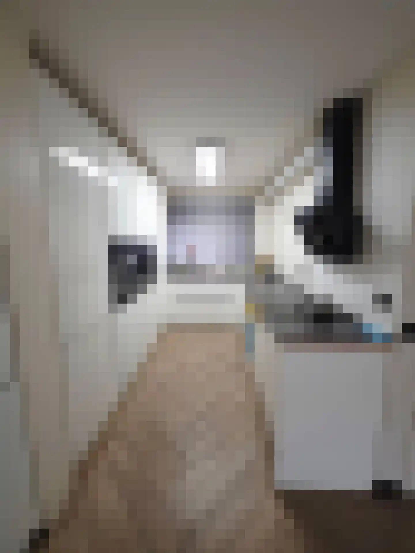Oudaenstraat 26 Den Haag thumbnail 6