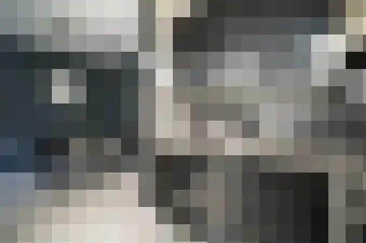Oudaenstraat 5 Papendrecht thumbnail 10