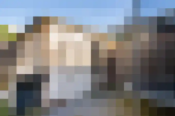 Oudaenstraat 5 Papendrecht thumbnail 25