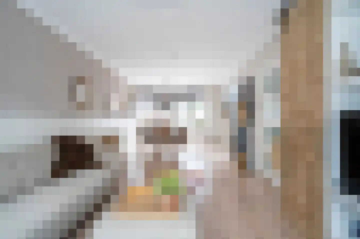 Oudaenstraat 7 Papendrecht thumbnail 7