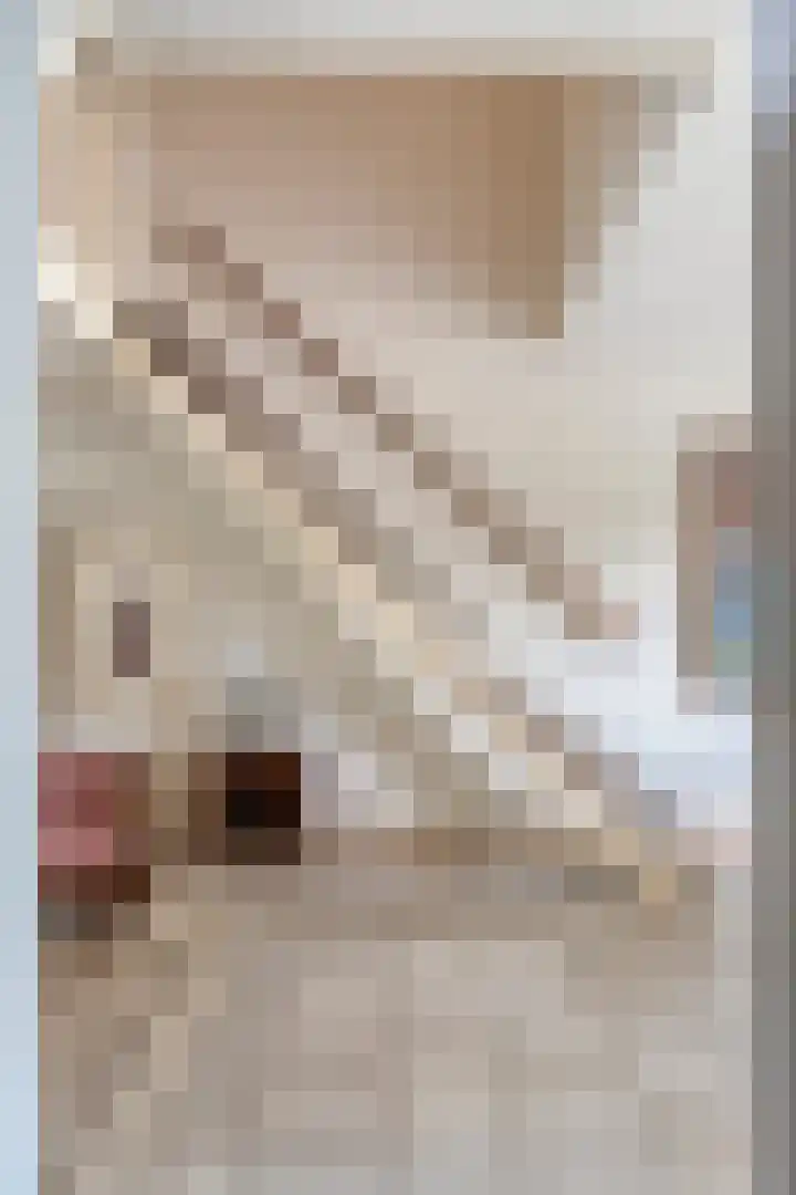 Oudartstraat 24 Helmond thumbnail 22