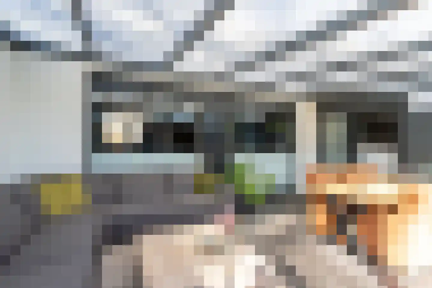 Oudartstraat 3 Helmond thumbnail 19