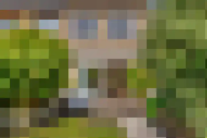 Oudburgerlaan 10 Heiloo thumbnail 10