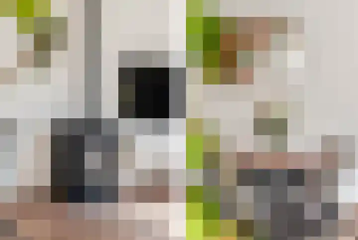 Oudburgerlaan 10 Heiloo thumbnail 13