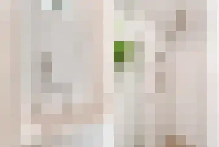 Oudburgerlaan 10 Heiloo thumbnail 20