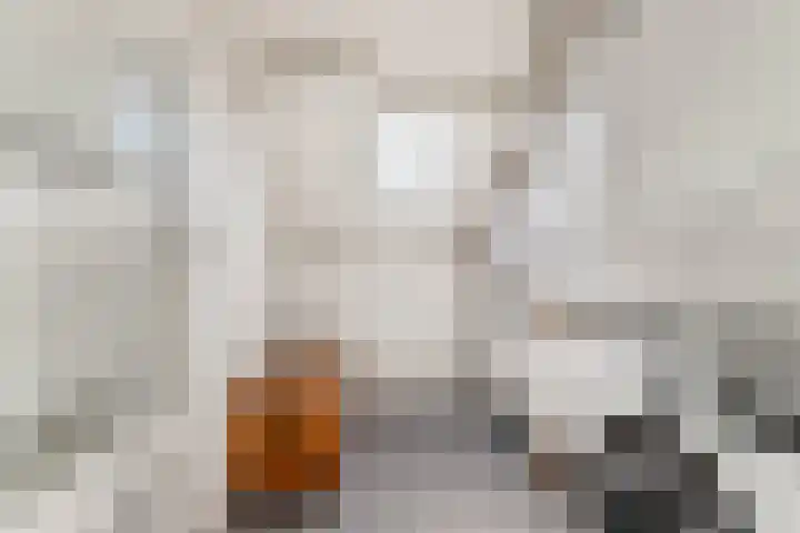 Oudburgerlaan 10 Heiloo thumbnail 27