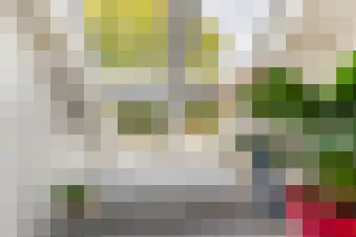 Oudburgerlaan 10 Heiloo thumbnail 29