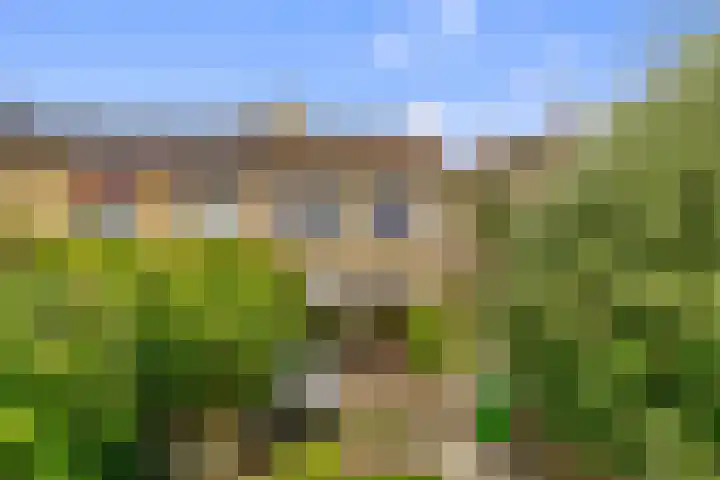 Oudburgerlaan 10 Heiloo thumbnail 31