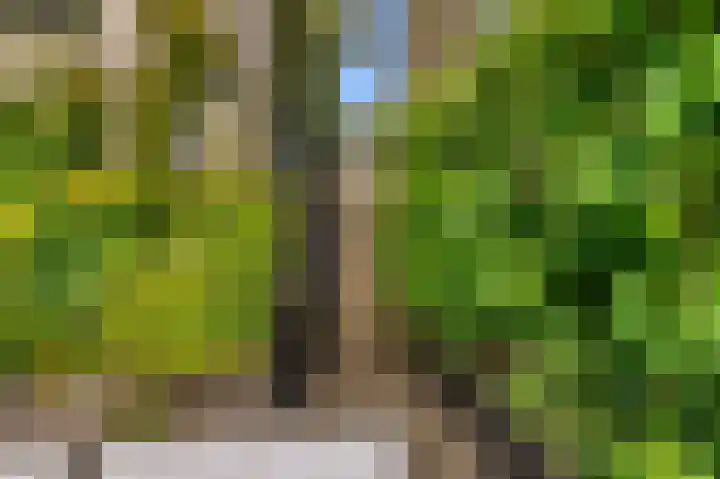 Oudburgerlaan 10 Heiloo thumbnail 32
