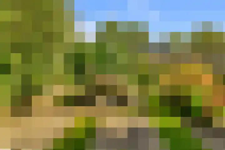 Oudburgerlaan 10 Heiloo thumbnail 34