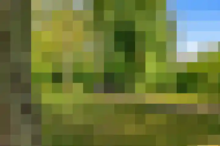 Oudburgerlaan 10 Heiloo thumbnail 37