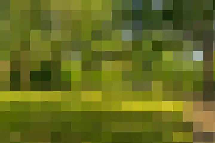 Oudburgerlaan 10 Heiloo thumbnail 4