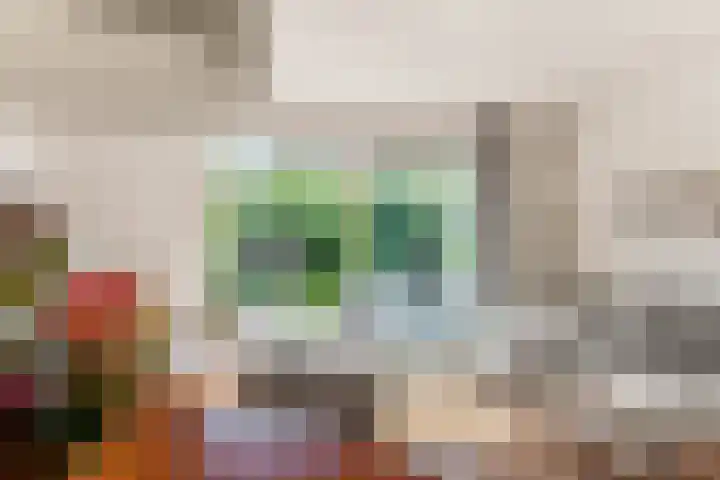 Oudburgerlaan 10 Heiloo thumbnail 6
