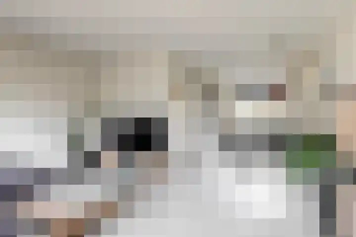 Oudburgerlaan 30 Heiloo thumbnail 10