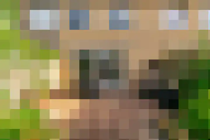 Oudburgerlaan 30 Heiloo thumbnail 36