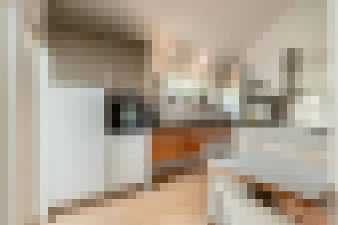 Oudburgerlaan 41 Heiloo thumbnail 11