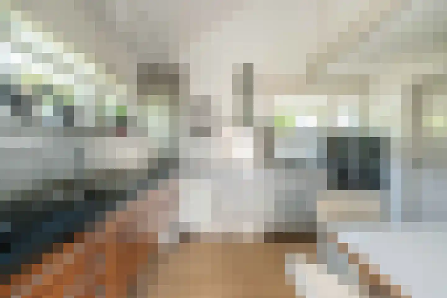 Oudburgerlaan 41 Heiloo thumbnail 13