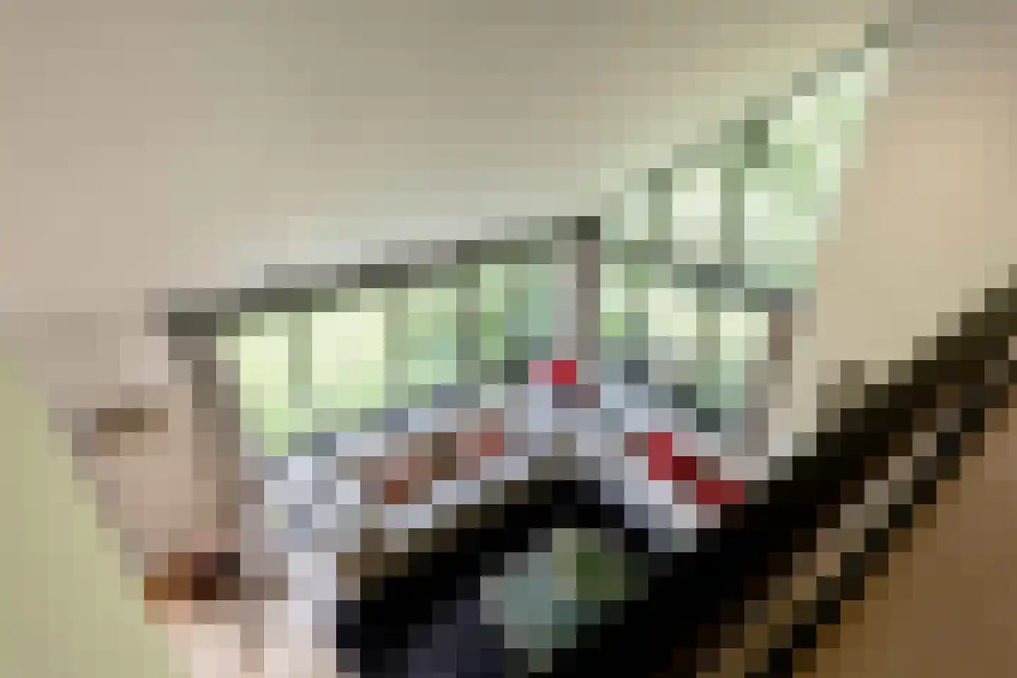 Oudburgerlaan 41 Heiloo thumbnail 25