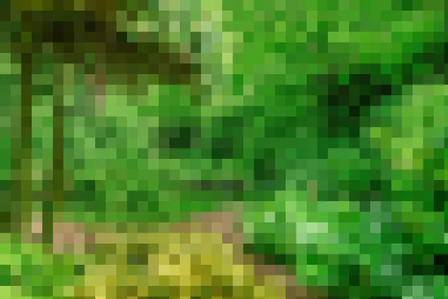 Oudburgerlaan 41 Heiloo thumbnail 41