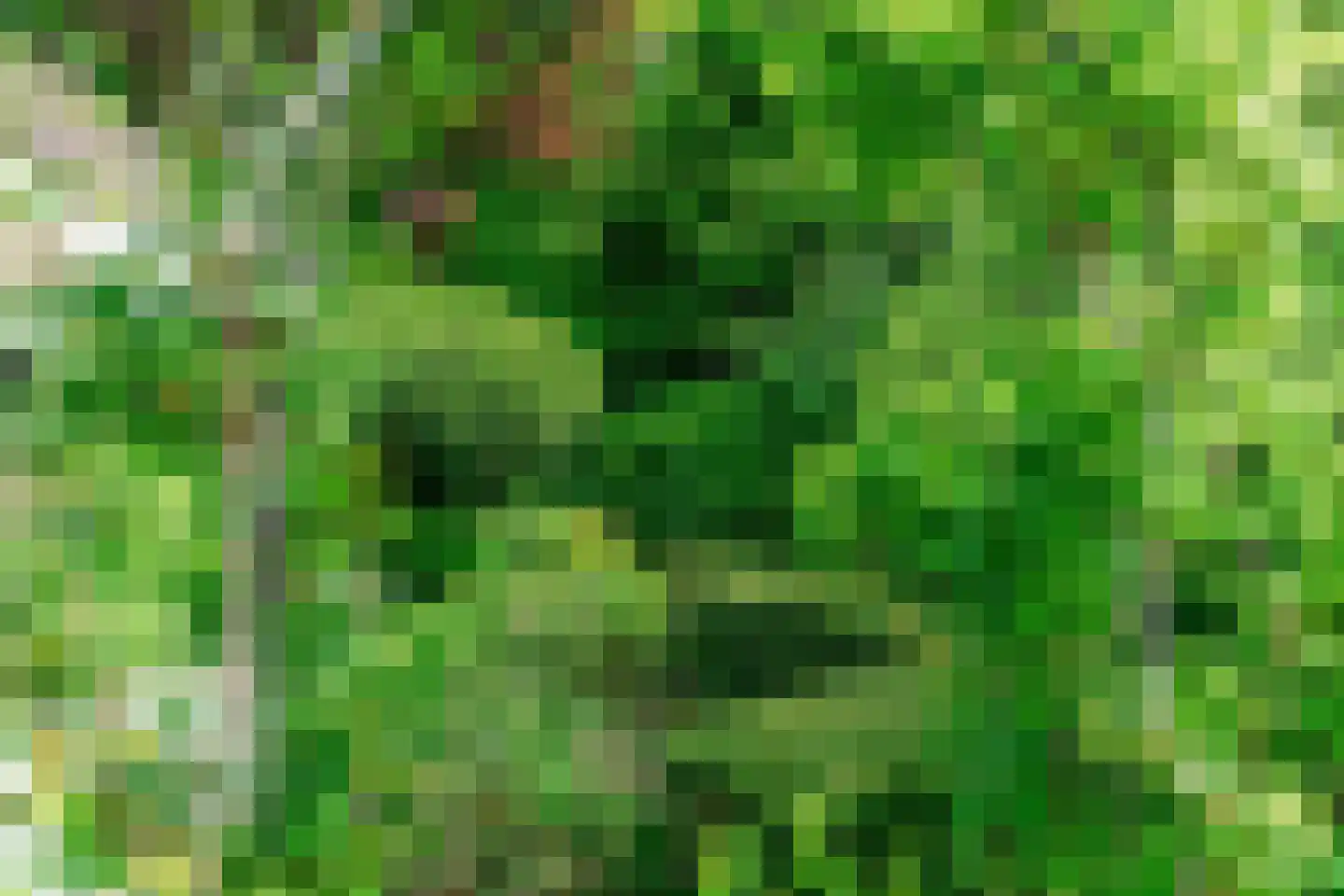 Oudburgerlaan 41 Heiloo thumbnail 42